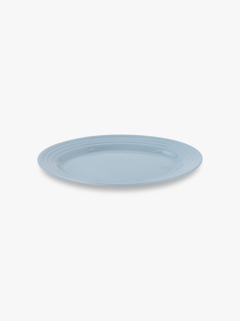 Oval Plate (Medium) 詳細画像 light blue 1