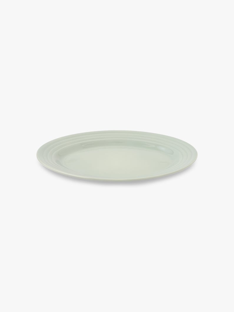 Oval Plate (Medium) 詳細画像 sax