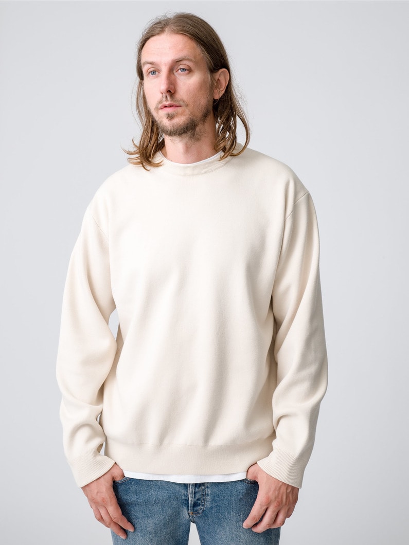 Brewed Protein Knit Pullover 詳細画像 ivory