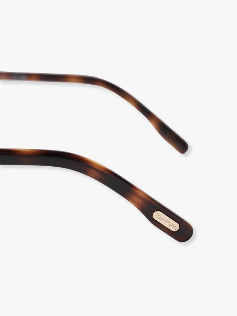 Sunglasses（FT-1119-D） 詳細画像 brown 4