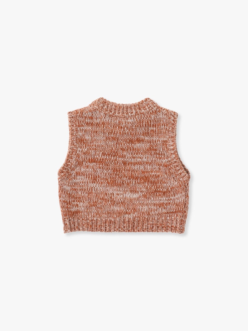 Delphi Wool Knit Vest 詳細画像 beige 1
