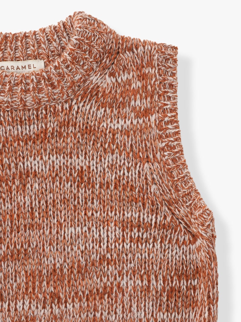 Delphi Wool Knit Vest 詳細画像 beige 2