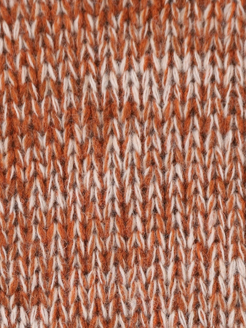 Delphi Wool Knit Vest 詳細画像 beige 3