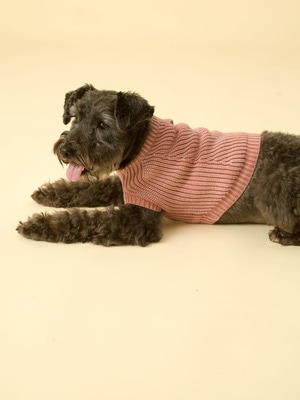 Chelsea Dog Knit 詳細画像 pink