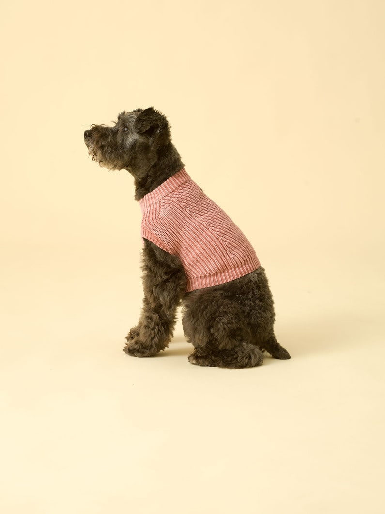 Chelsea Dog Knit 詳細画像 pink 2