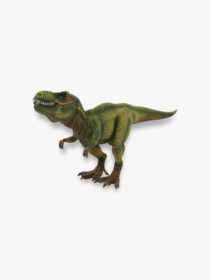 Tyrannosaurus Rex Figure 詳細画像 other