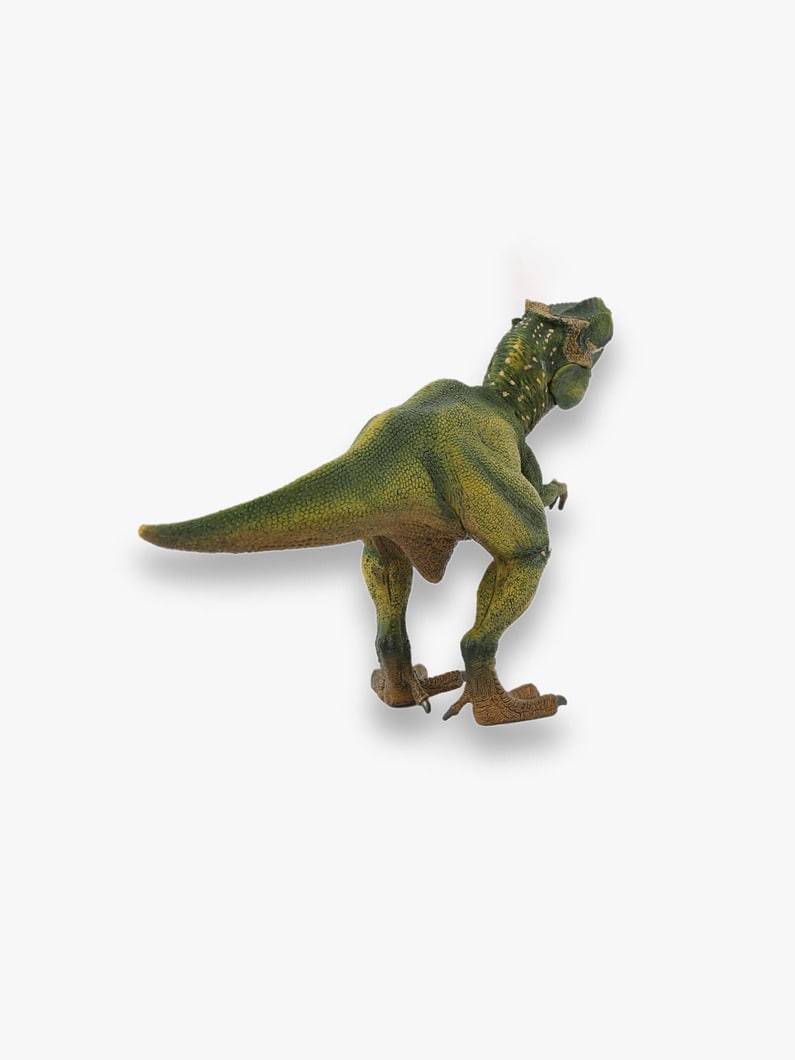 Tyrannosaurus Rex Figure 詳細画像 other 2