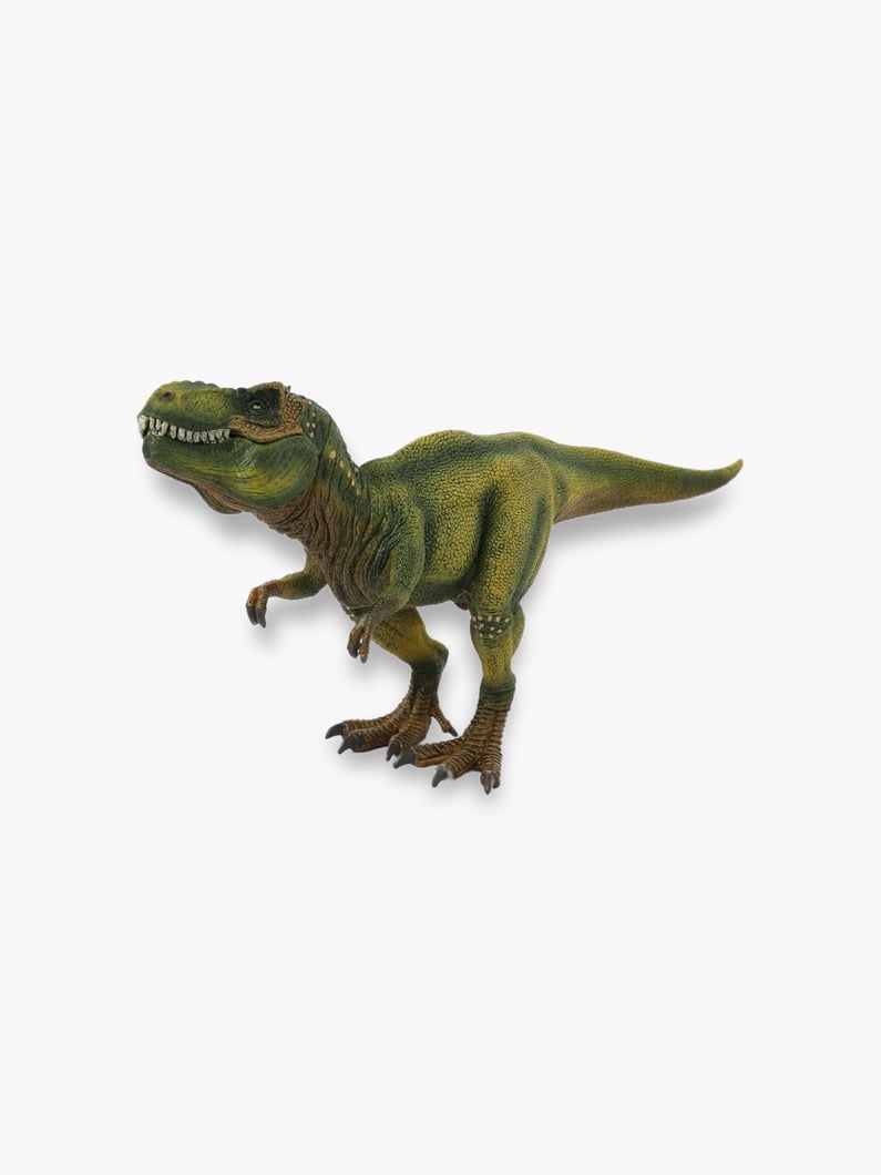 Tyrannosaurus Rex Figure 詳細画像 other 1