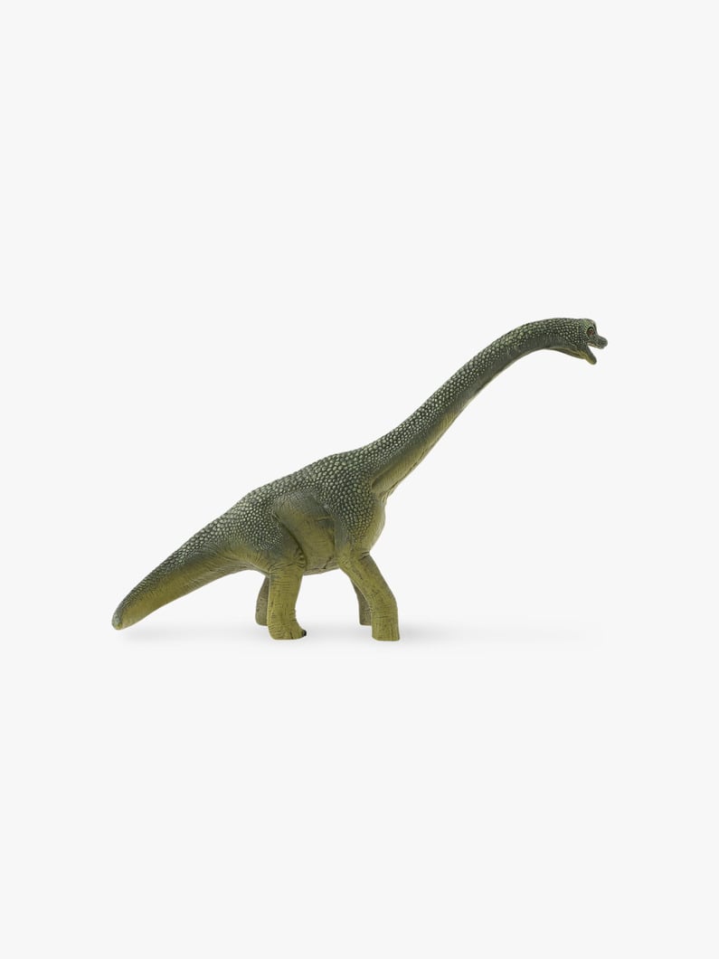 Brachiosaurus Figure 詳細画像 other 2