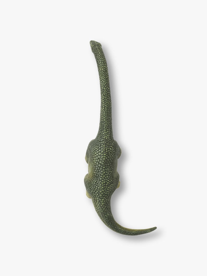 Brachiosaurus Figure 詳細画像 other 2