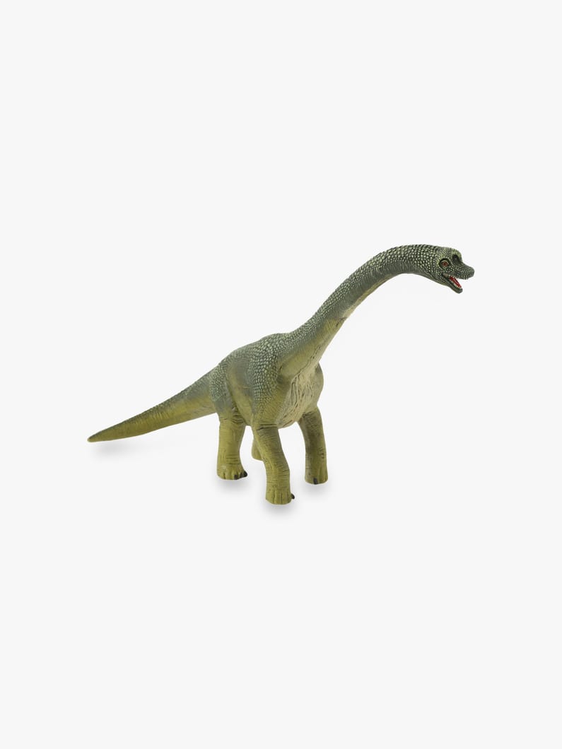 Brachiosaurus Figure 詳細画像 other 1