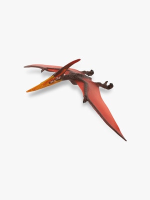 Pteranodon Figure 詳細画像 other