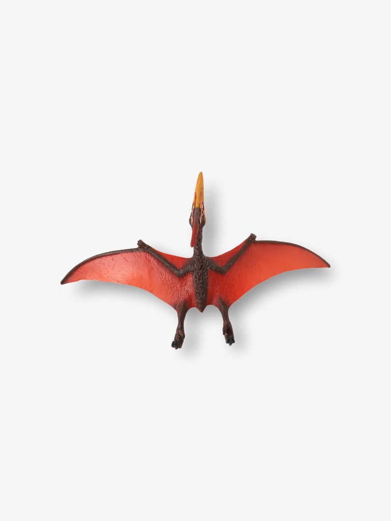 Pteranodon Figure 詳細画像 other 2
