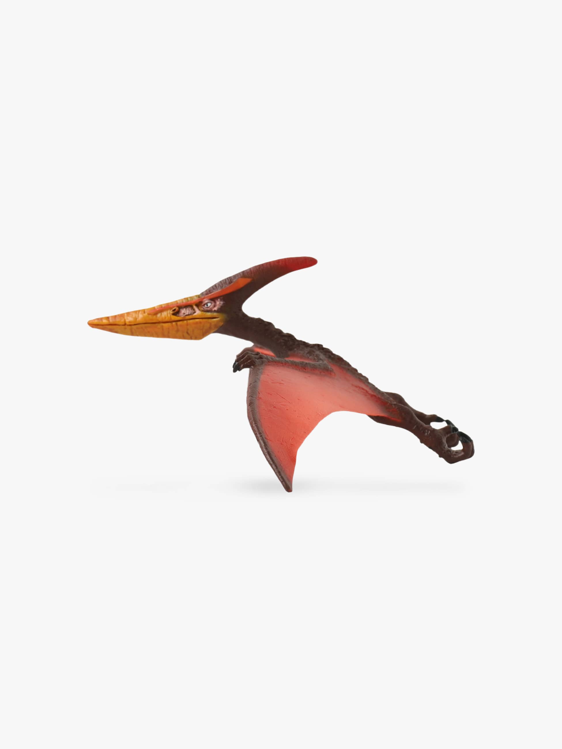Pteranodon Figure 詳細画像 other 1