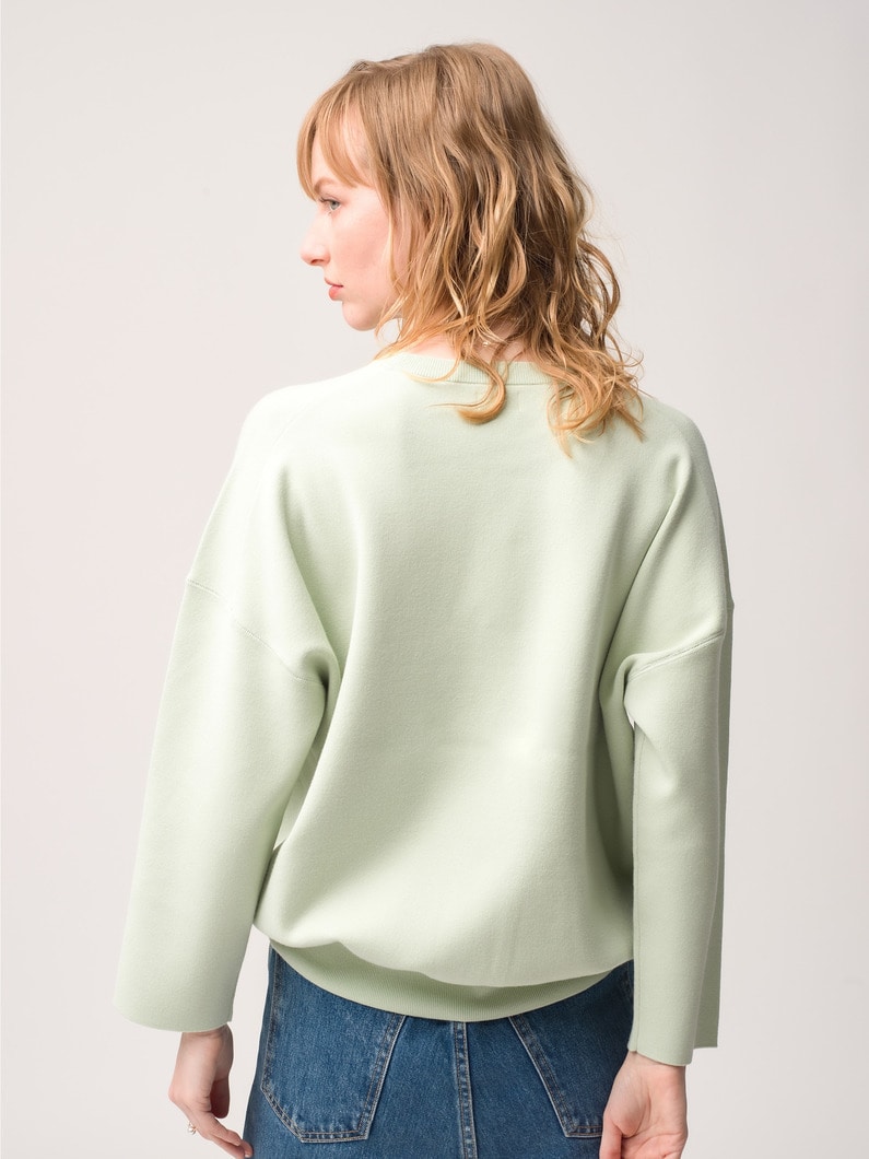 Double Jacquard Smooth Knit Pullover 詳細画像 light green 2