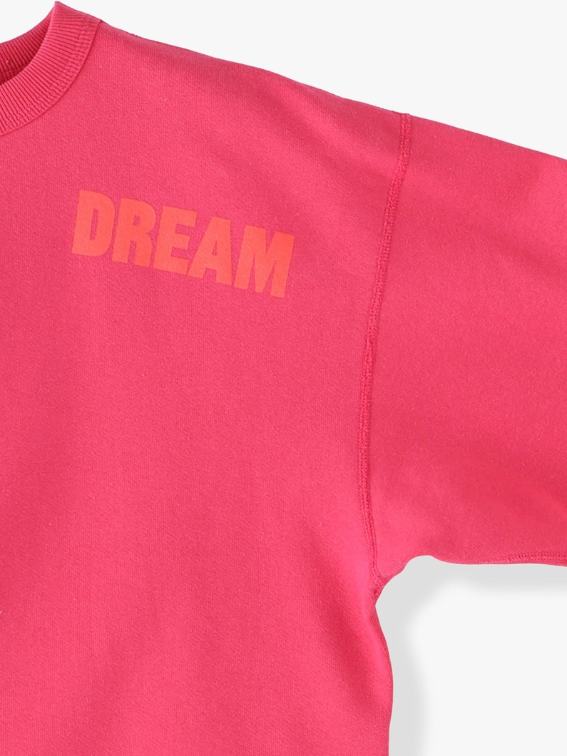 Dream Sweat Shirt 詳細画像 gray 5