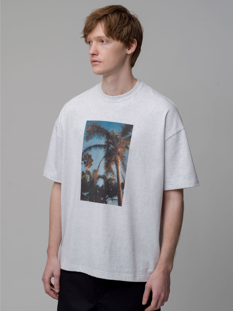 Jerry Buttles Tee (palm tree) 詳細画像 top gray 1