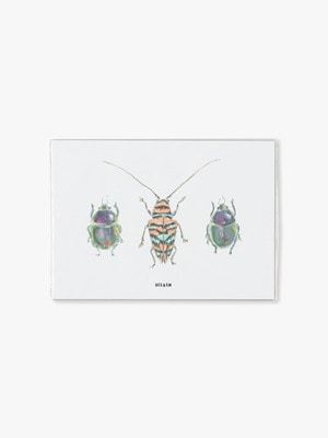Bug Trio Poster 詳細画像 other