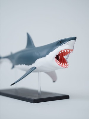 4D Vision Great White Shark 詳細画像 other