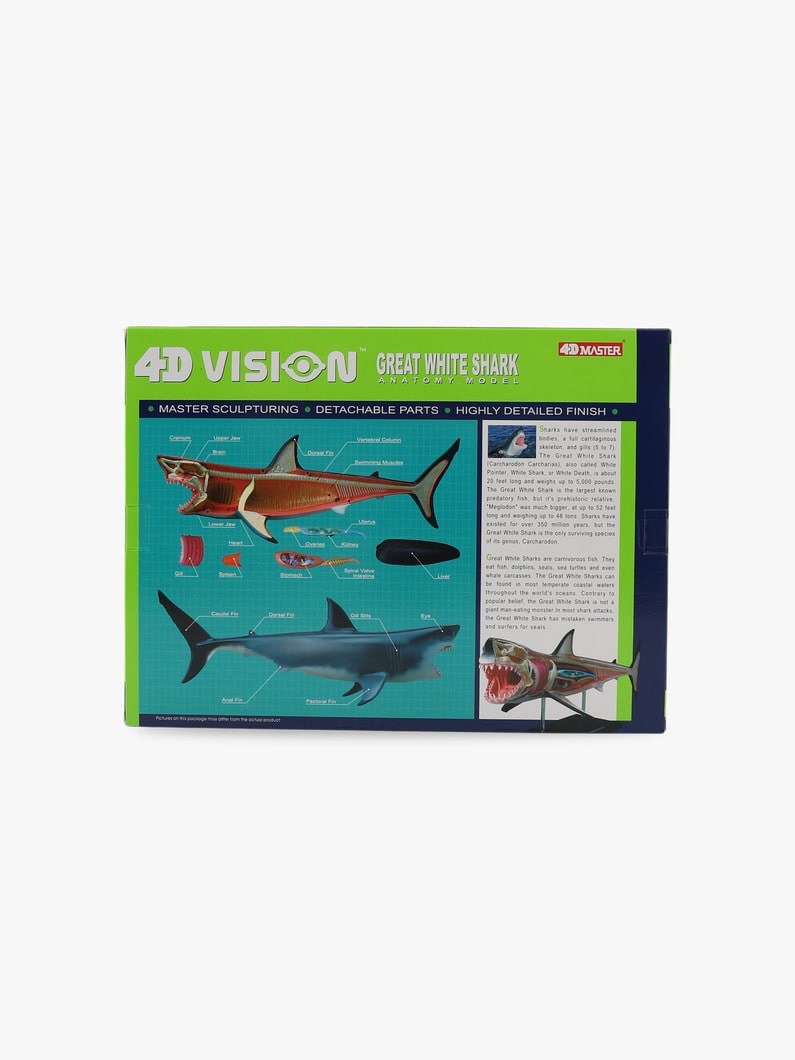 4D Vision Great White Shark 詳細画像 other 2