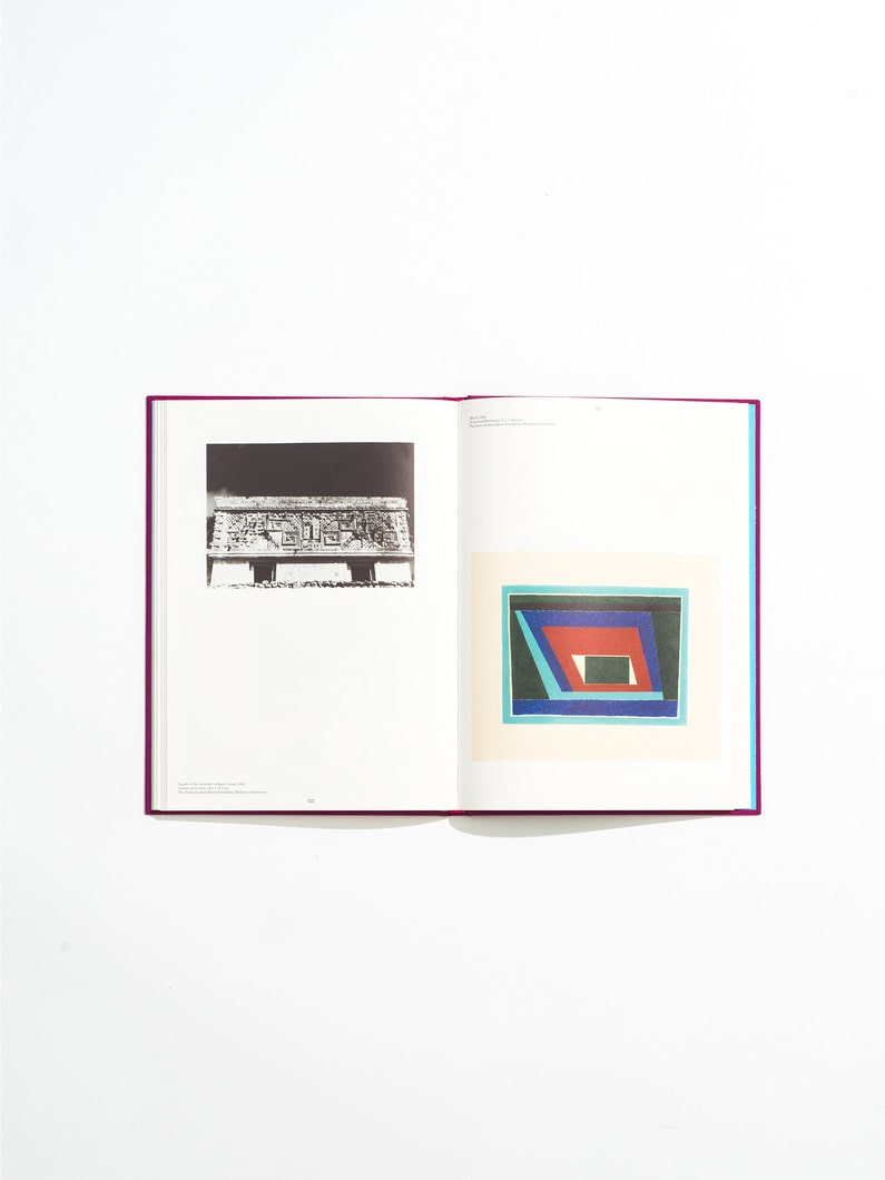 Josef Albers in Mexico 詳細画像 other 3