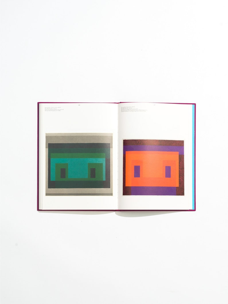 Josef Albers in Mexico 詳細画像 other 4