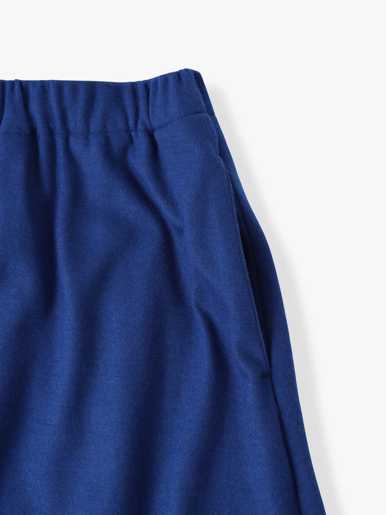 Wool Flare Skirt 詳細画像 blue 2