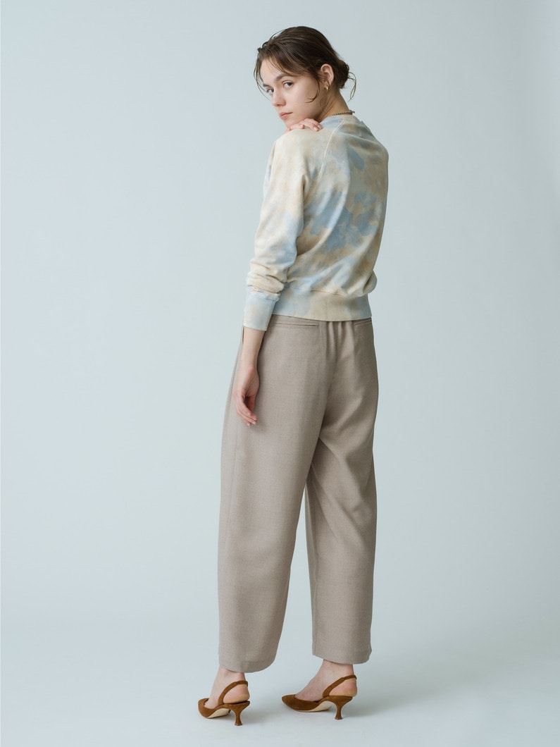 Polyester Easy Pants 詳細画像 beige 2