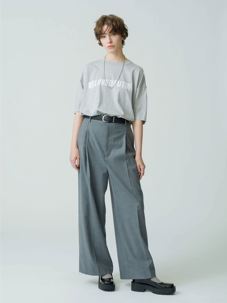 Twill Stretch Pants 詳細画像 gray 1