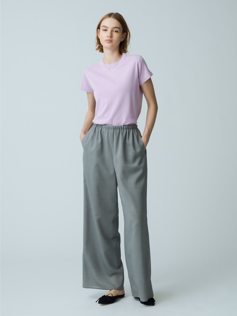 Clear Voile Pants 詳細画像 gray