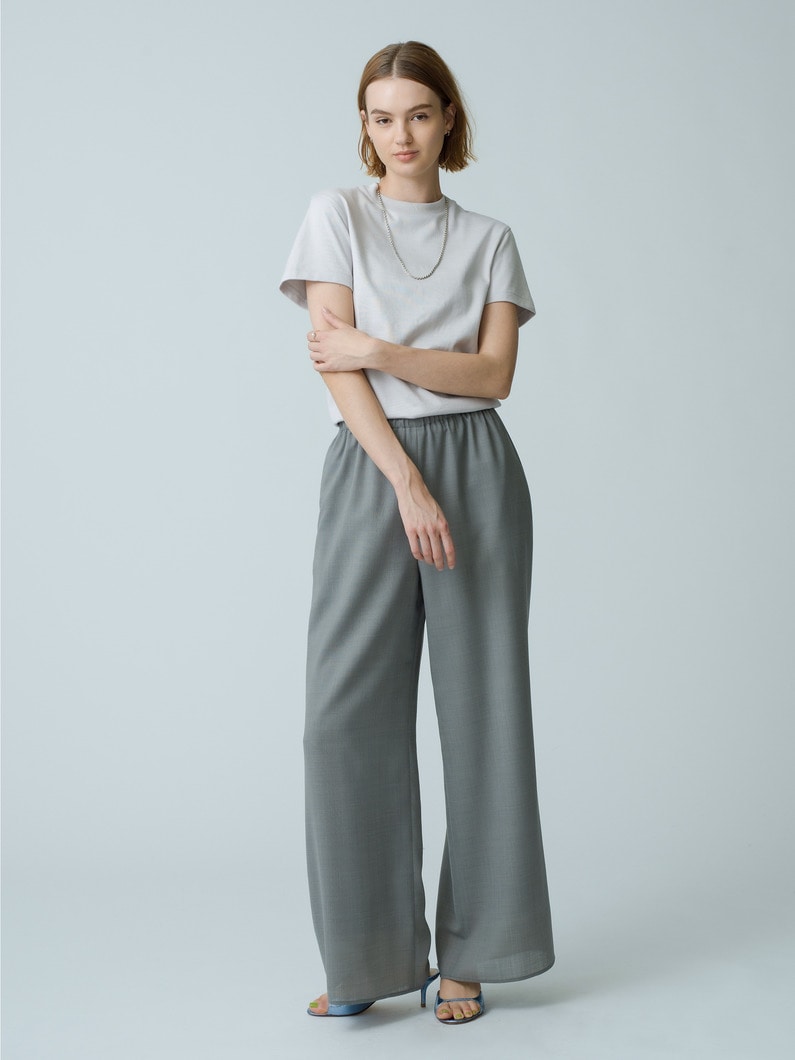 Clear Voile Pants 詳細画像 gray 3