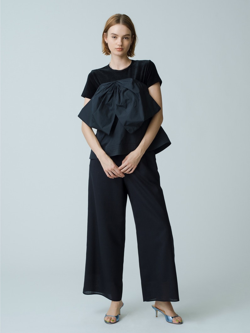 Clear Voile Pants 詳細画像 black 1