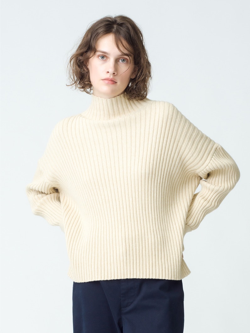 Air Cotton Rib Turtle Neck Pullover 詳細画像 ivory 1