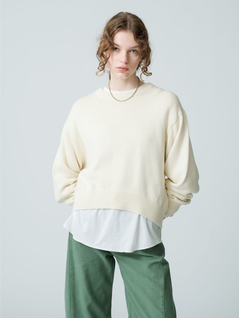 Brushed Cotton Crew Neck Pullover 詳細画像 ivory 1