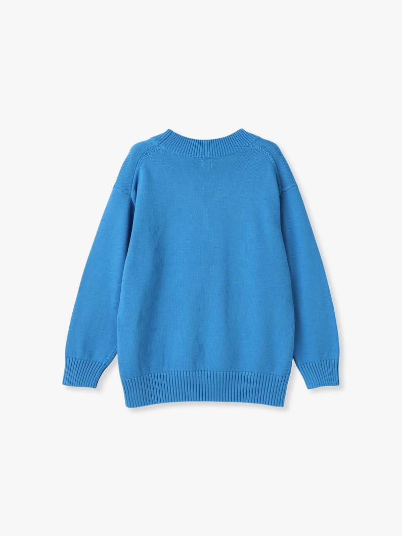 Brushed Cotton V Neck Pullover 詳細画像 blue 1