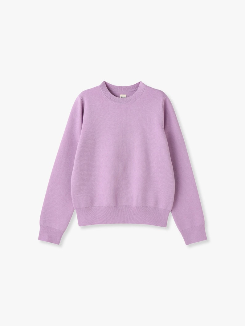 Wool Smooth Crew Neck Pullover 詳細画像 lavender 4