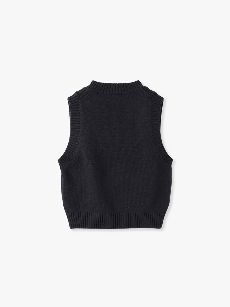 V Neck Knit Vest | ベスト 詳細画像 black 1