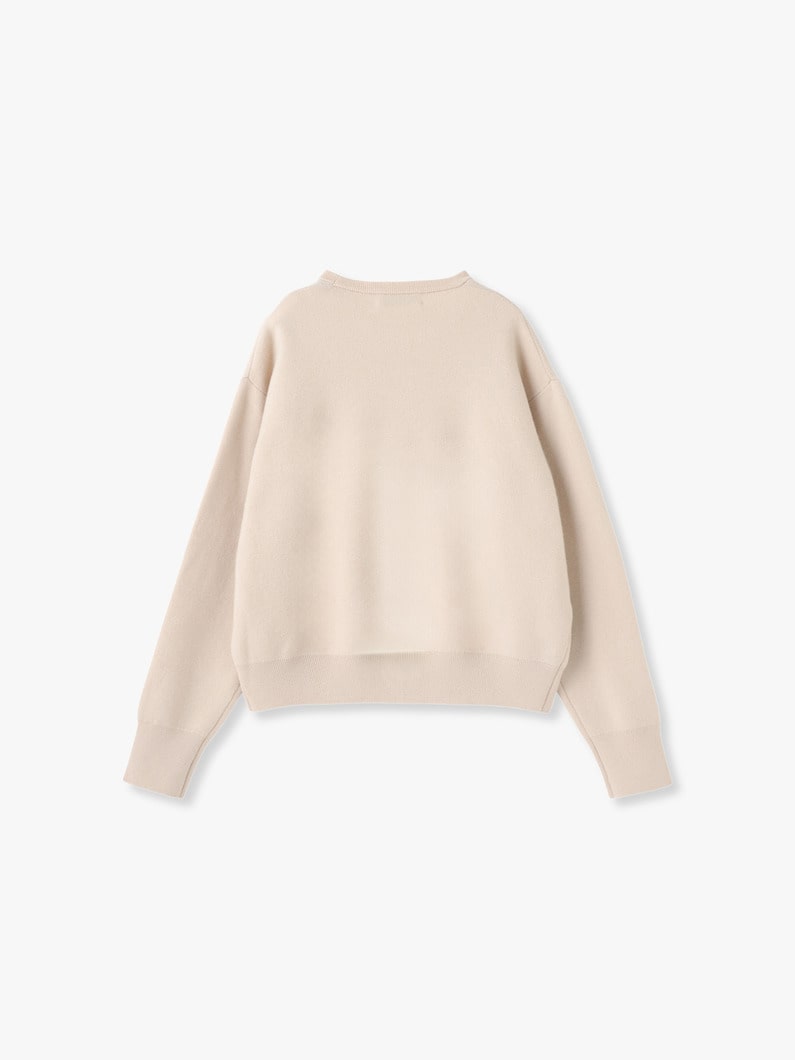 Soft Smooth Knit Pullover | ニット 詳細画像 ivory 1