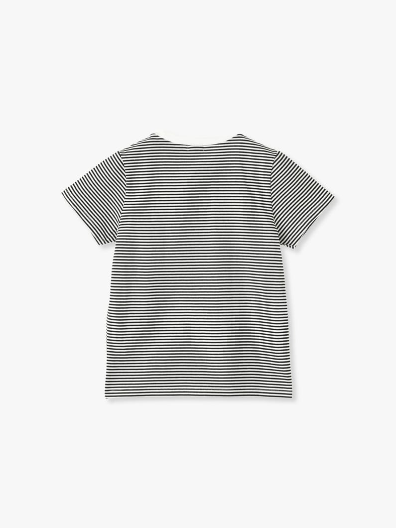 Striped Compact Tee 詳細画像 green 1