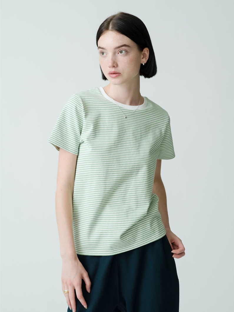 Striped Compact Tee 詳細画像 green