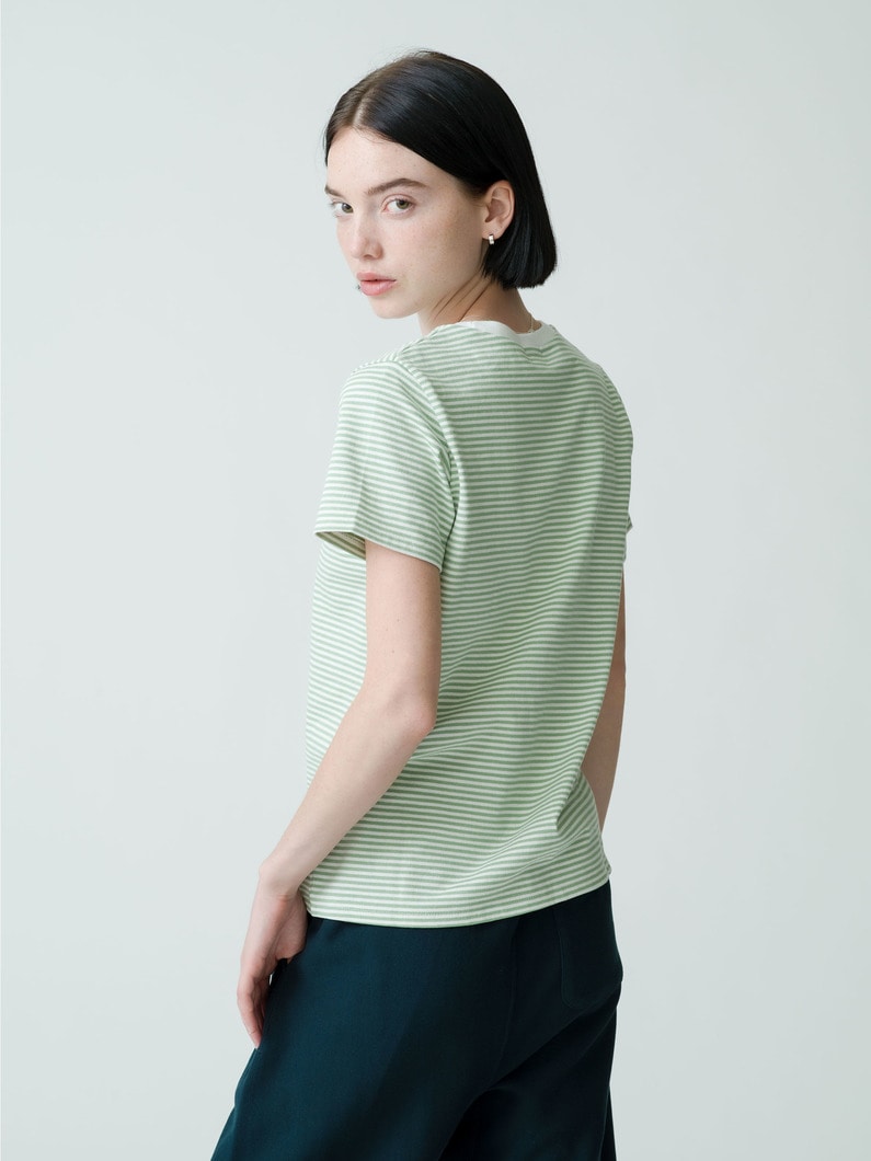 Striped Compact Tee 詳細画像 green 2