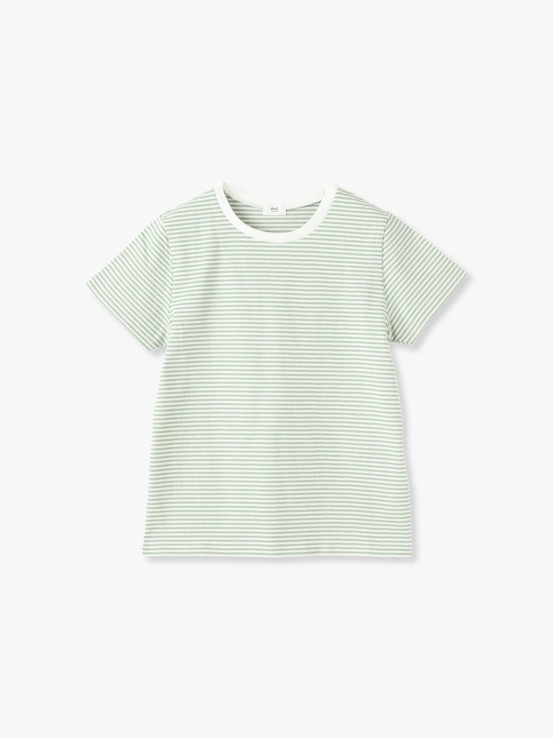 Striped Compact Tee 詳細画像 green 5