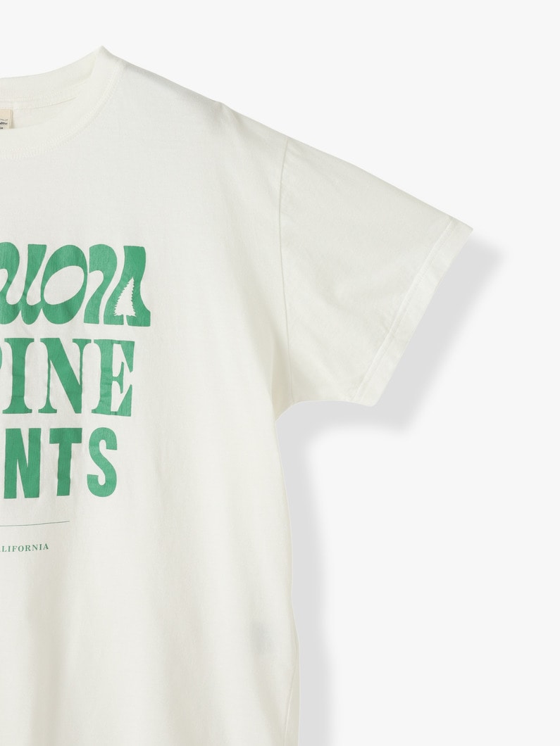 Sequoia Tee 詳細画像 white 2