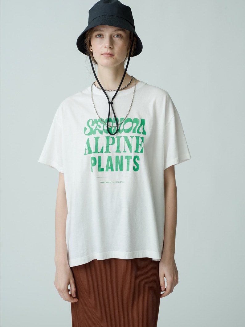 Sequoia Tee 詳細画像 white 1