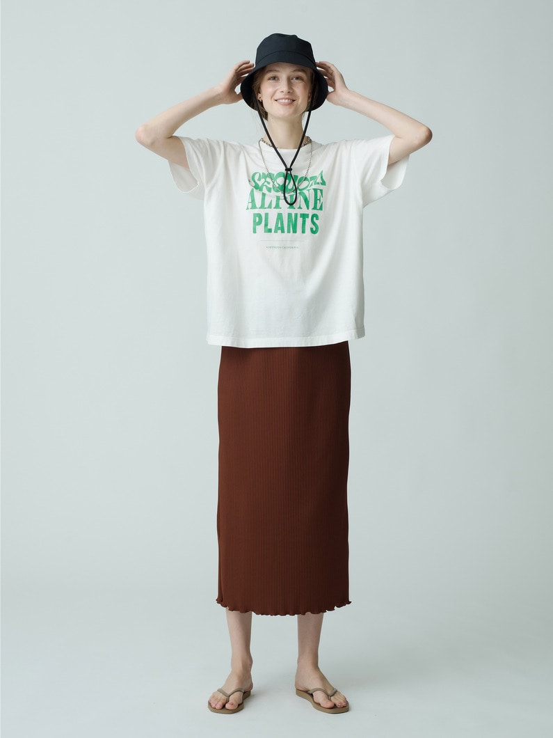 Sequoia Tee 詳細画像 white 2