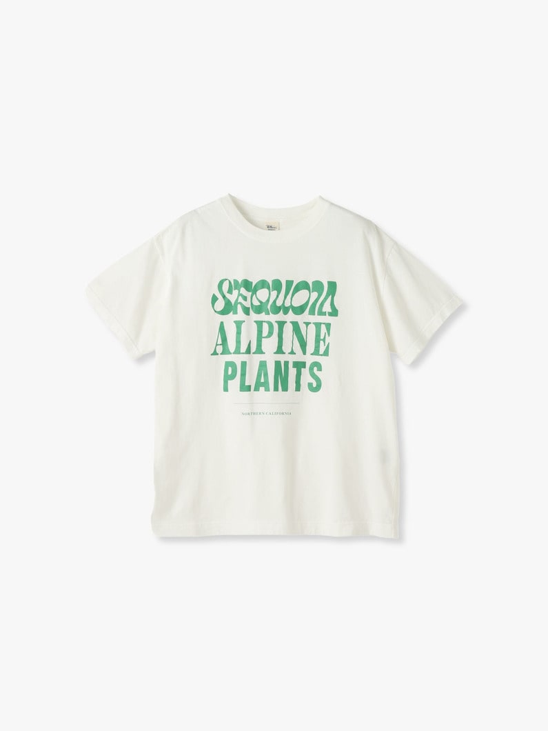 Sequoia Tee 詳細画像 white 4