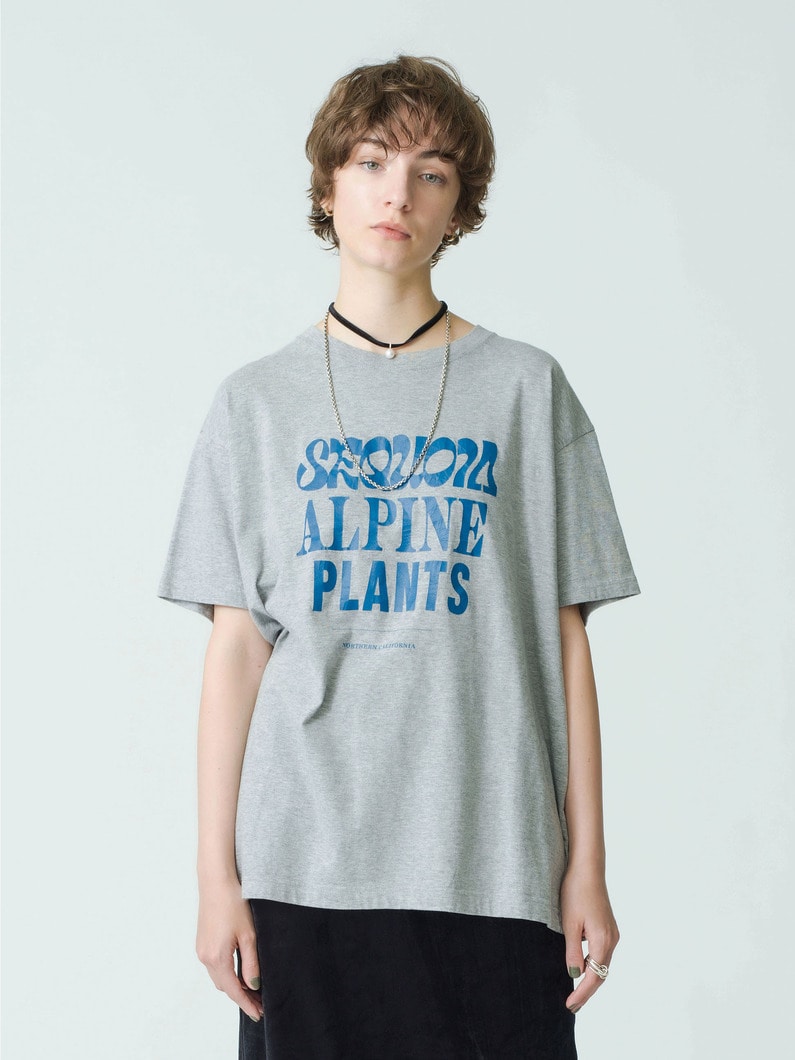 Sequoia Tee 詳細画像 top gray 1