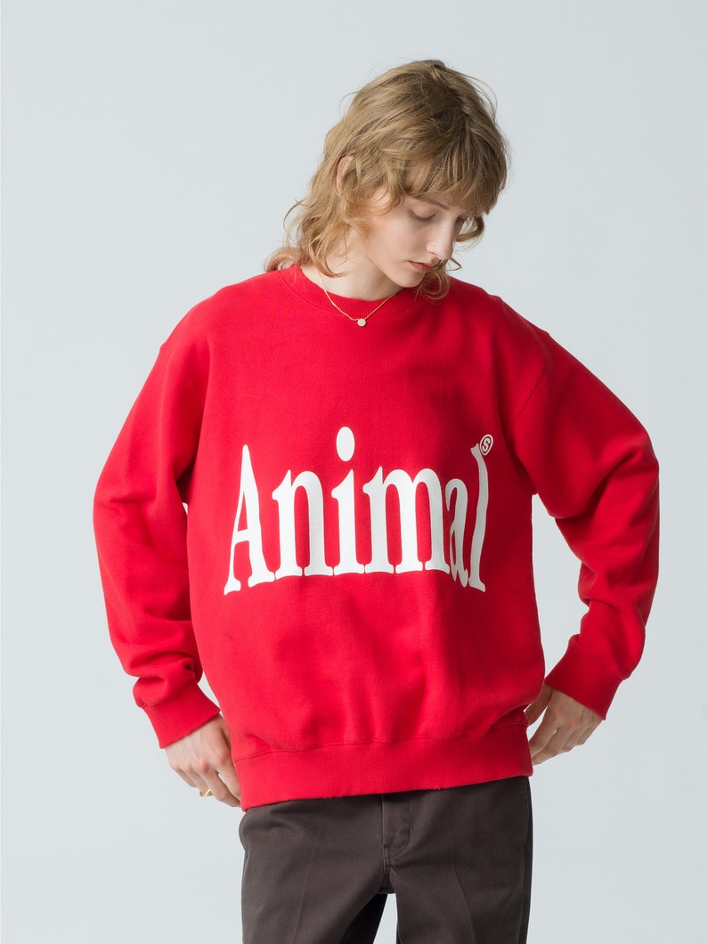 Animal Letter Sweat Pullover (red/green/gray) 詳細画像 red 1