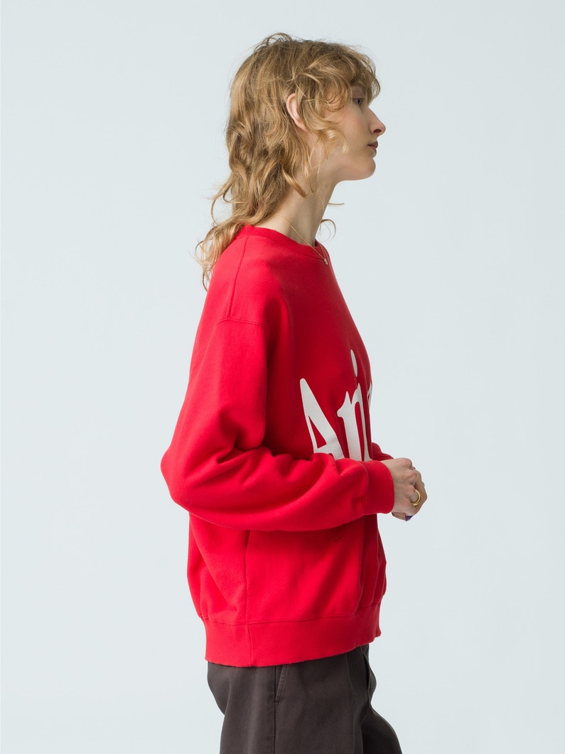 Animal Letter Sweat Pullover (red/green/gray) 詳細画像 red 3