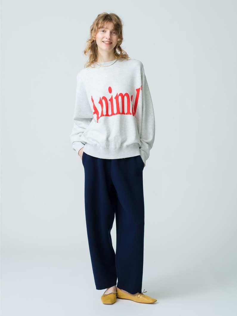 Animal Letter Sweat Pullover (red/green/gray) 詳細画像 gray 3